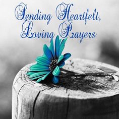 a blue flower sitting on top of a piece of wood with the words sending heartfelt, loving players