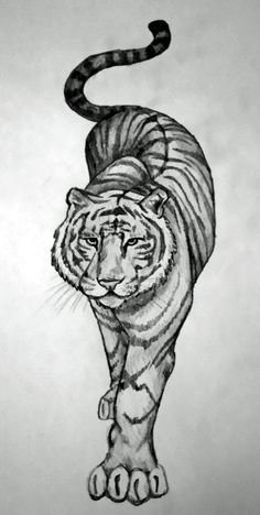 a drawing of a tiger walking on one foot