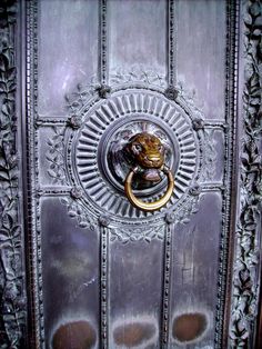 an ornate door handle with a lion head on it's center and gold ring