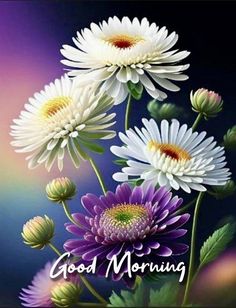 some white and purple flowers with the words good morning