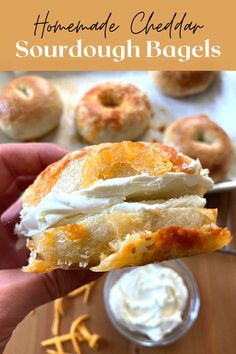 Cheddar sourdough bagel sliced with cream cheese, with shredded cheddar, cream cheese and bagels on a baking sheet in the background Sourdough Cheese Bagels, Crunchy Sourdough Bread, Jalapeno Cheddar Sourdough Bagels, Sourdough Jalapeno Cheese Bagels, Homemade Sourdough Bagels, Sourdough Gnocchi, Freezable Sourdough Recipes, Sourdough Cheddar Biscuits, Sourdough Mix In Ideas