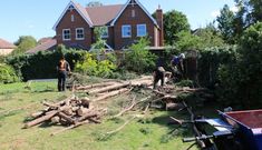 two men are working in the yard to cut up trees that have fallen on them