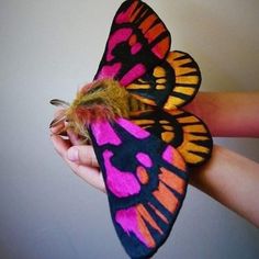 a butterfly that is sitting on someone's hand