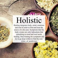 A Walk In The Woods, Holistic Health Coach, Herbal Healing, Naturopathy, Holistic Medicine, Holistic Nutrition, Holistic Living, Walk In The Woods