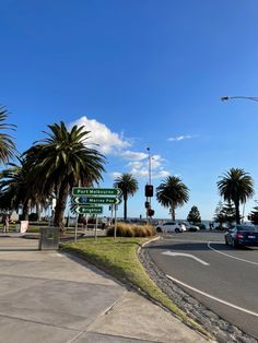 palm trees and street signs on the side of a road