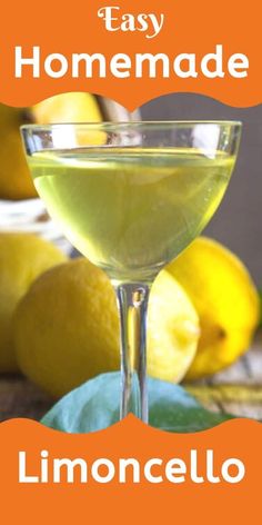 Limoncello, a delicious, easy to make Homemade Italian liqueur. Served over ice or straight up. The perfect summertime on the patio or after dinner liqueur. Honeycomb Recipe, Italian Liqueur, Salted Caramel Fudge, Liqueurs Recipes, Best Italian Recipes, Savory Appetizer, Italian Recipes Authentic