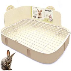 a rabbit sitting next to an animal bed