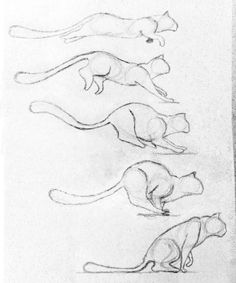 four cats are depicted in this drawing