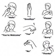 an instruction poster on how to say the word hello in different languages, including hand gestures and