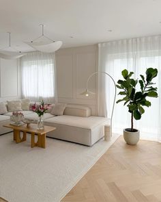 a living room with white furniture and large plants on the table in front of it