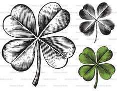 four leaf clovers in black and white