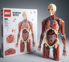 a lego human body is shown in front of the box