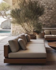 a living room with couches, tables and an olive tree in the corner by the pool