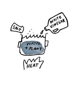 a drawing of what happens when you drink water and eat meat or vegetables, with the words white vinegar next to it