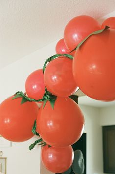 tomatoes are hanging from the ceiling with green leaves on them