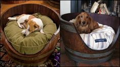 two pictures side by side one has a dog in a bed and the other has a fire place