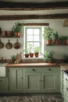 a kitchen filled with lots of potted plants on top of a window sill