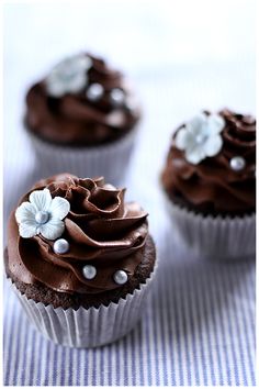 three cupcakes with chocolate frosting and white flowers