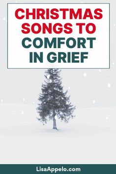 Best Christmas Songs to Comfort in Grief via @LisaAppelo Best Christmas Songs, Christmas Songs, Proverbs 31, Christmas Song, Best Christmas, Christmas Seasons, Proverbs, Christmas Fun, Christmas Time