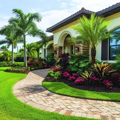 a house with landscaping and palm trees in the front yard