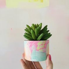 a hand holding a potted plant with pink and blue paint on it