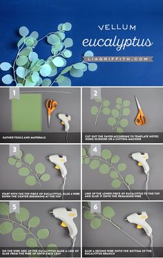 step by step instructions on how to make a paper flower bouquet with eucalyptus leaves and scissors