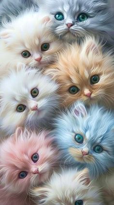 a group of kittens with green eyes and long hair, all in pastel colors