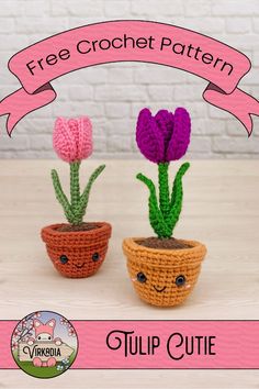 two crocheted potted plants sitting next to each other