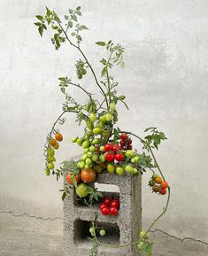 a sculpture made out of cement with tomatoes and other fruits