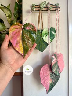 a hand holding up three heart shaped plant hangers next to a potted plant