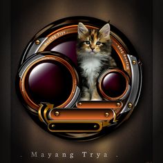 a cat is sitting in the middle of a round frame with an orange and black design