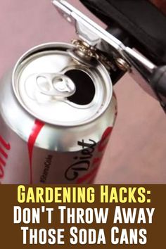 Did you think gardening would be hard? Think again after trying out these neat tricks. Mason Jar Luminaries, Pop Cans, Patio Plants, Planting Vegetables, Soda Pop, Recycled Crafts