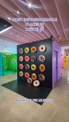 there are many different types of doughnuts on display in this museum exhibit room