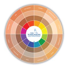 Eyeshadow Color Wheel, Color Wheel For Makeup Artist, Makeup Color Theory, Color Wheel For Makeup, Color Wheel Makeup, Color Theory Skin Tone, Skin Tone Chart