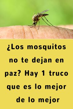 a mosquito sitting on top of a person's finger with the caption in spanish