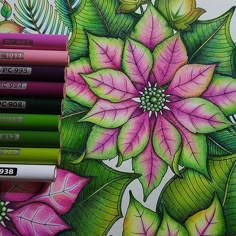 some colored pencils sitting on top of a drawing book with flowers and leaves in it