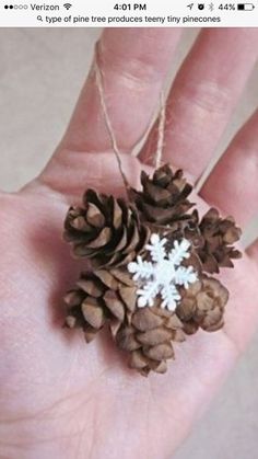 a hand holding a pine cone ornament with snow flakes hanging from it