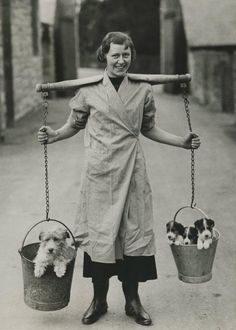 an old black and white photo of a woman holding two buckets with dogs in them