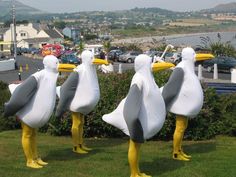 three large white and yellow birds standing in the grass near some bushes with cars parked behind them