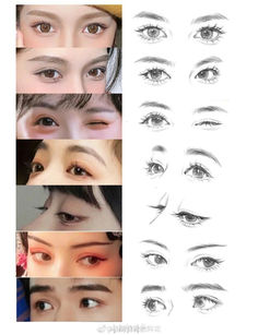 the different types of eyes are shown