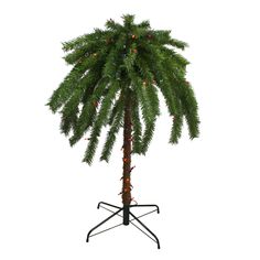 a small palm tree with lights on it's top and bottom branches is shown