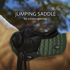 an image of a horse with the words jumping saddle on it