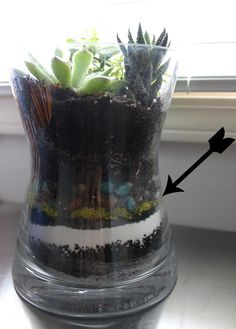 a glass vase filled with plants on top of a table