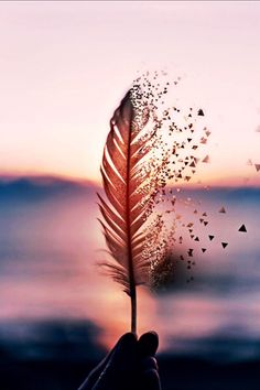 someone holding a feather in their hand with the quote you are memories in my mind