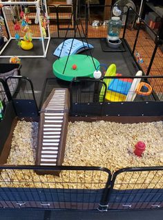 a caged in area with toys and other items on the floor, including a hamster