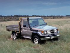 a silver truck parked in the middle of a field with tall grass on both sides