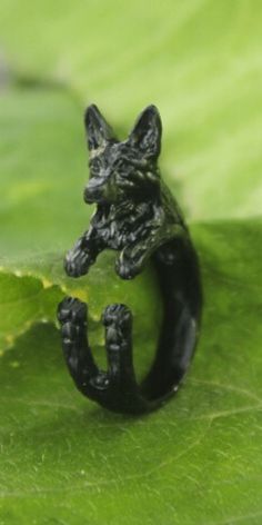 an animal ring sitting on top of a green leaf