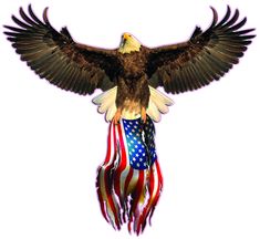 an eagle with the american flag on it's back and its wings spread out