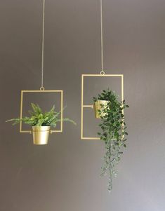 two hanging planters with green plants in them on a gray wall next to each other