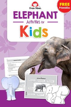 elephant lessons for kids Elephant Activities, Persuasive Writing Techniques, Learning Activities For Kids, Second Grade Writing